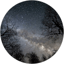 Tyler Workman profile picture