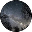 Tyler Workman profile picture