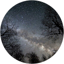 Tyler Workman profile picture