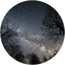 Tyler Workman profile picture