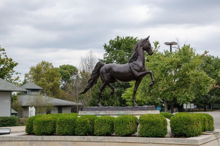 Image by Simon from Pixabay